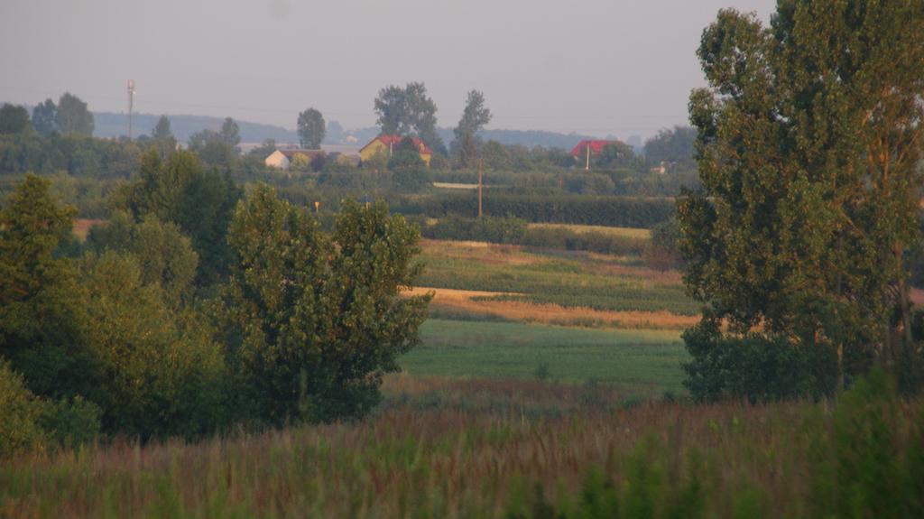 Dwor Na Wichrowym Wzgorzu Bed & Breakfast Przybyslawice Luaran gambar