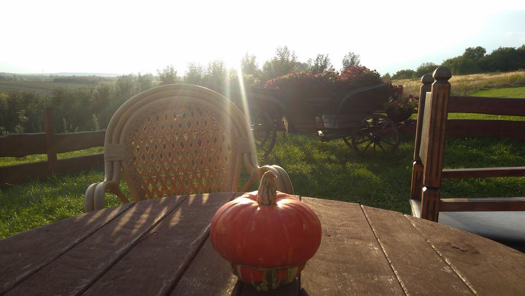 Dwor Na Wichrowym Wzgorzu Bed & Breakfast Przybyslawice Luaran gambar